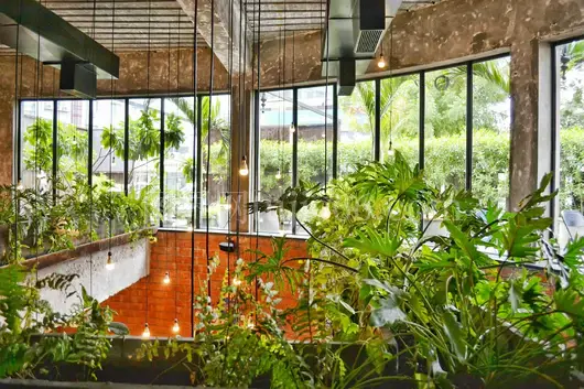 阿赫梅达巴德咖啡馆绿植窗景