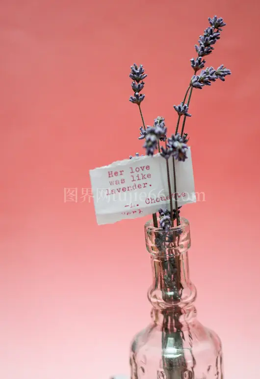母亲节问候卡片设计精选