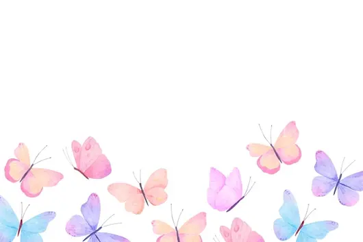 水彩蝴蝶插画艺术作品