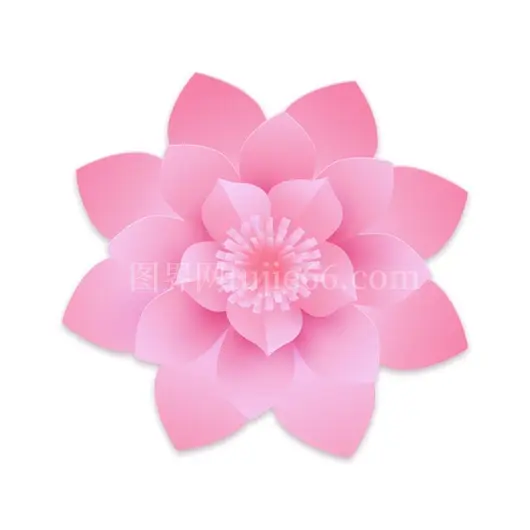顶部视角可爱粉色花朵