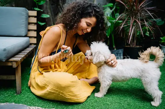 女子黄裙嬉戏白犬绿茵旁