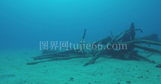 神秘海底沉船探险探秘