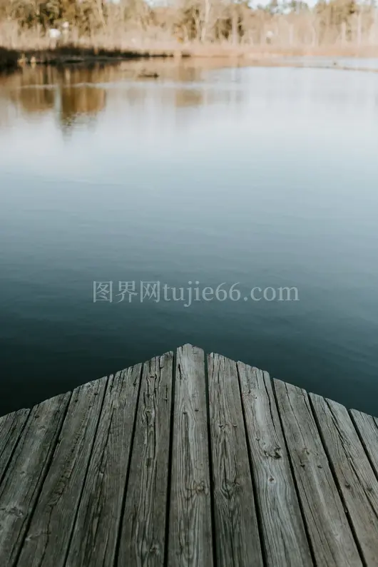 棕木码头静水映照