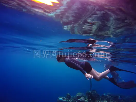 自由潜水员珊瑚礁优雅游海洋