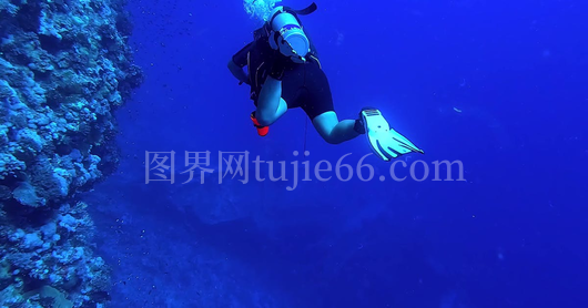 埃及红海潜水员游向沉船