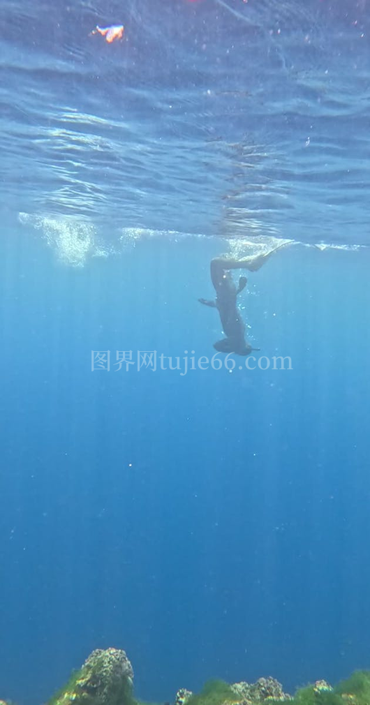 海底探险水肺潜水休闲活动