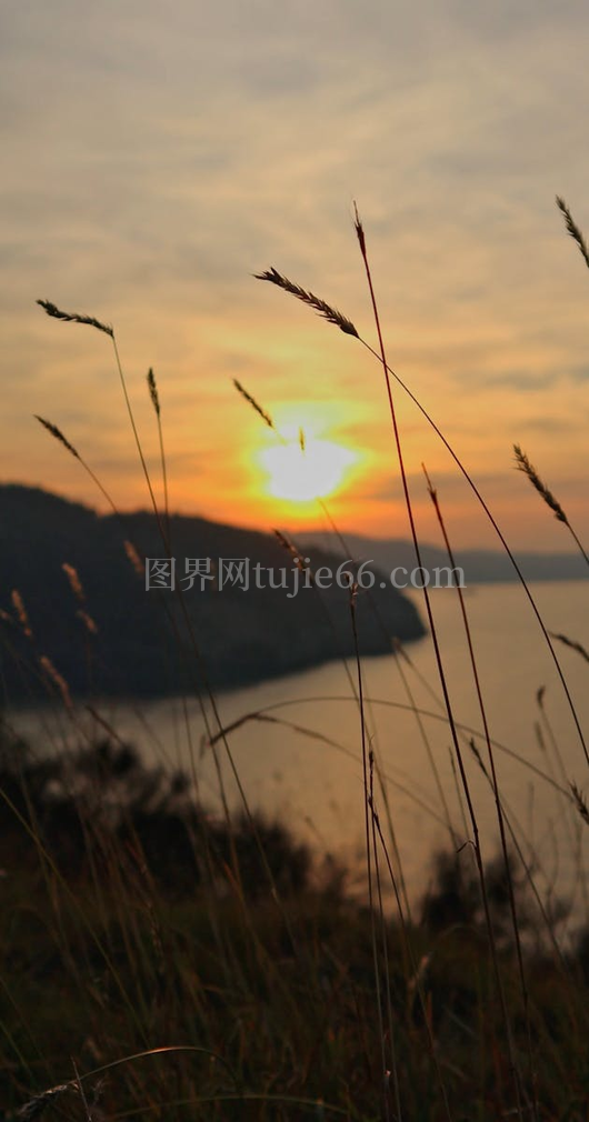 日落山丘绿草茵茵