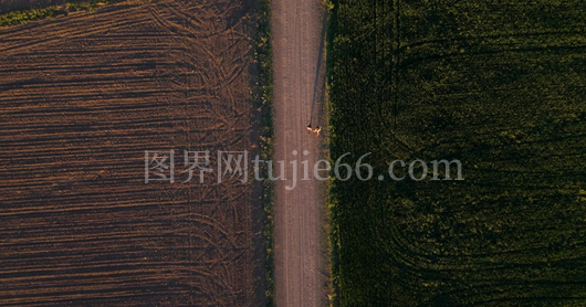 浪漫太阳下恋人情缘
