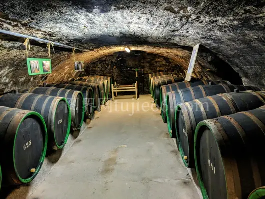 德国科赫姆酒窖橡木桶景