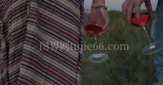 情侣手拿酒杯漫步图