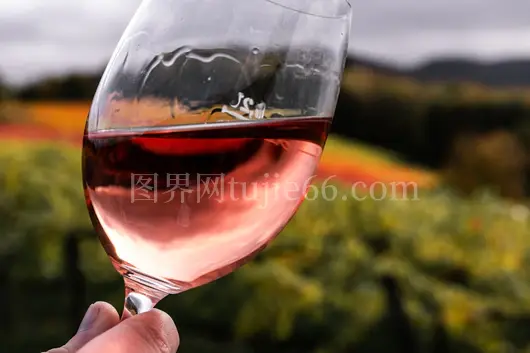 人物手持透明红酒杯红酒盛杯中