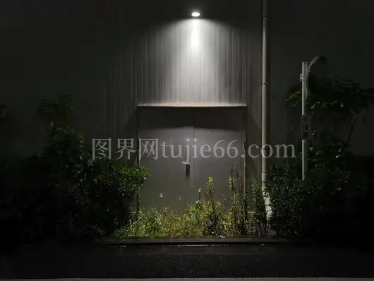 绿植映衬灰建筑