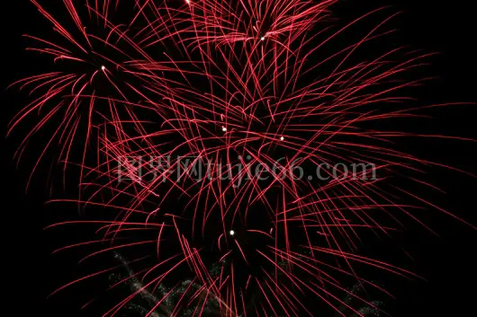 夜空烟花庆祝节庆