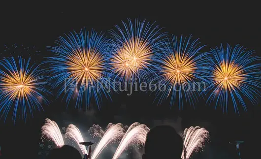 烟花绽放壮美景象演绎精彩