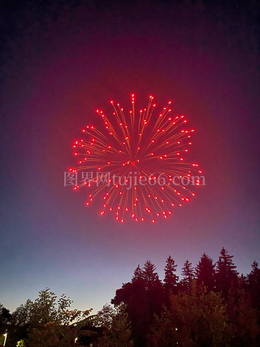 烟花映衬夜空庆佳节