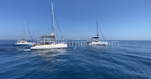 深海探索神秘景象