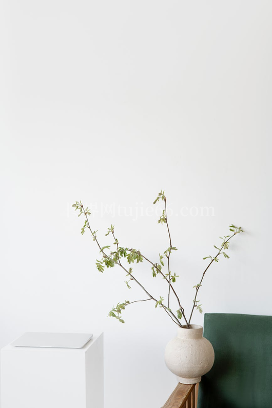 简约白墙花瓶绿枝优雅装饰