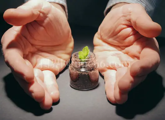 手捧小植物显关爱成长