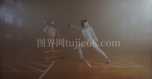 剑术家雾室练剑模拟靶