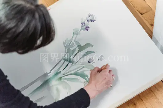 艺术家精细花卉水彩特写