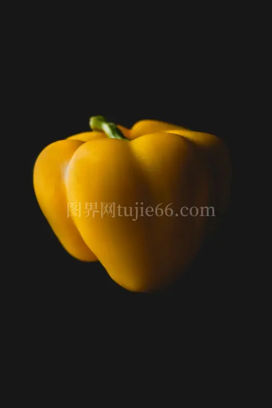 黄色甜椒白色背景展示