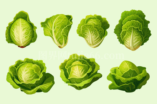 矢量卡通蔬菜插画 