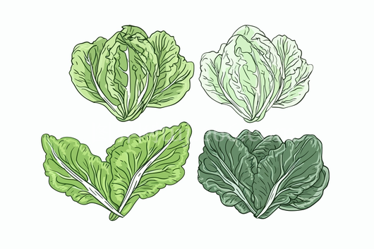 矢量卡通蔬菜插画