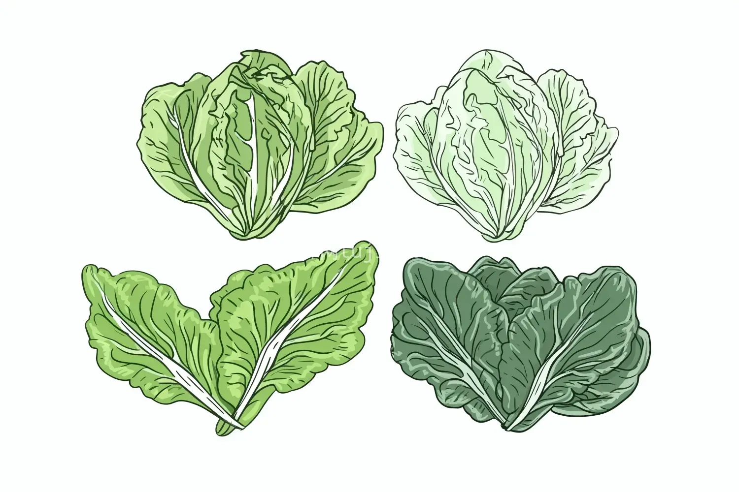 矢量卡通蔬菜插画