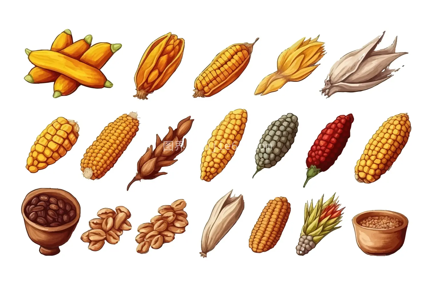 矢量卡通蔬菜插画 